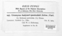 Image Associated With the Occurence